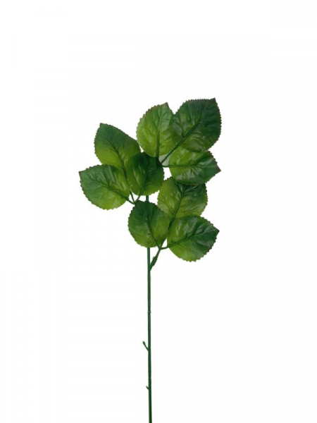 Łodyga do róży 65 cm zielona