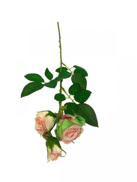 Róża kwiat pojedynczy 37,5 cm zielona z różowym środkiem