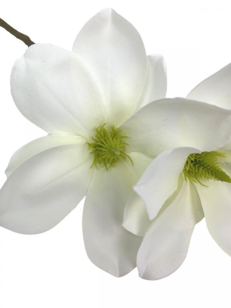 Magnolia gałązka 40 cm biała