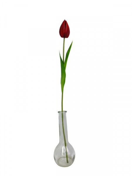 Tulipan kwiat pojedynczy 50 cm czerwony