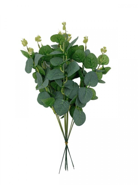 Eukaliptus gałązka 36 cm zielony