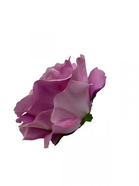 Róża gigant główka 20 cm fioletowa