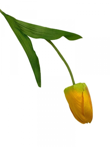 Tulipan kwiat pojedynczy 50 cm pomarańczowy