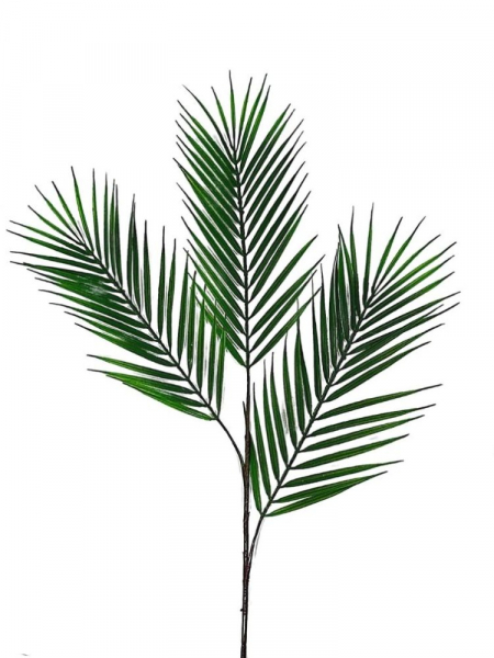 Liść palmy XL 95 cm zielony