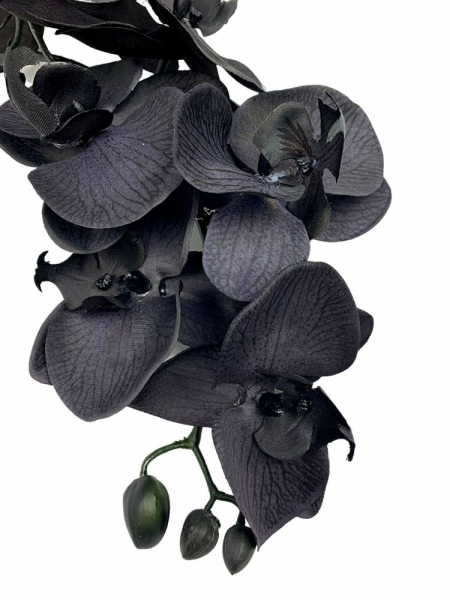 Storczyk kwiat pojedynczy 88 cm czarny