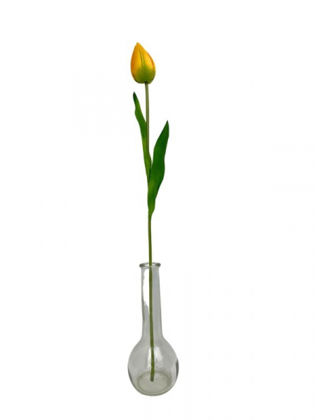 Tulipan kwiat pojedynczy 50 cm jasno pomarańczowy