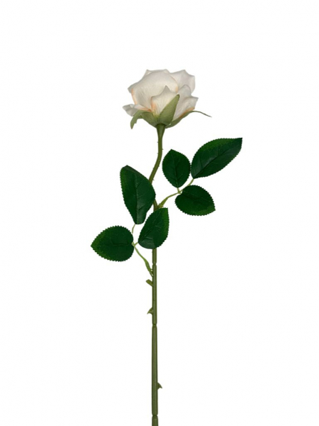 Róża pojedyncza gałązka 48 cm kremowa