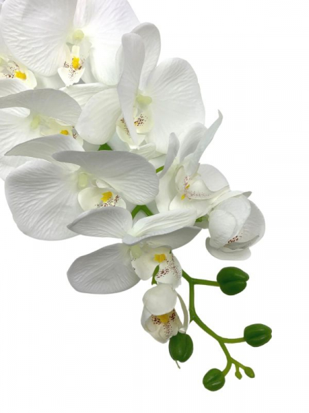 Storczyk kwiat pojedynczy 100 cm biały