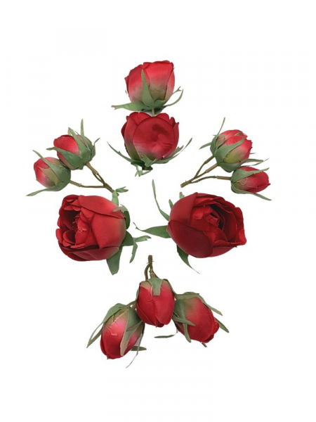 Róża główka komplet czerwony