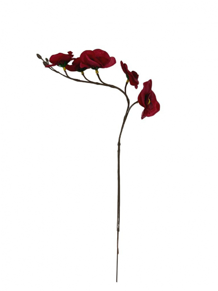 Storczyk mini gałązka 41 cm czerwony