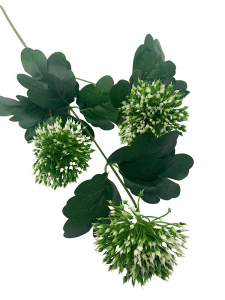 Czosnek kwiat pojedynczy 50 cm zielony z białymi końcówkami