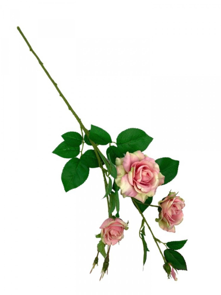 Róża gałązka 77 cm różowo zielona