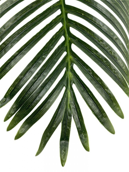 Palma liść XXL 105 cm