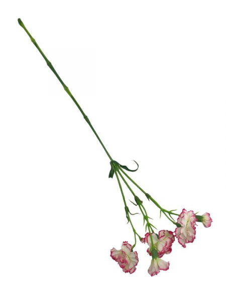 Goździk na gałązce 64 cm kremowo różowy