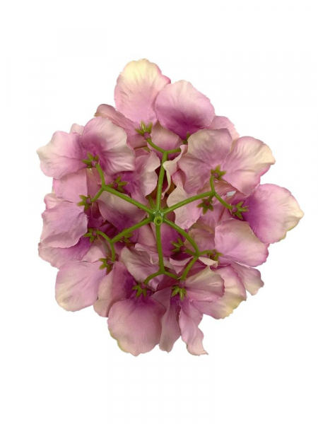 Hortensja główka 17 cm romantyczny róż z zielenią