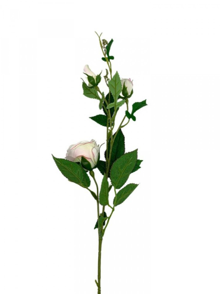 Róża gałązka 70 cm kremowa z dodatkiem różu