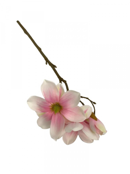 Magnolia kwiat pojedynczy 40 cm jasny różowy