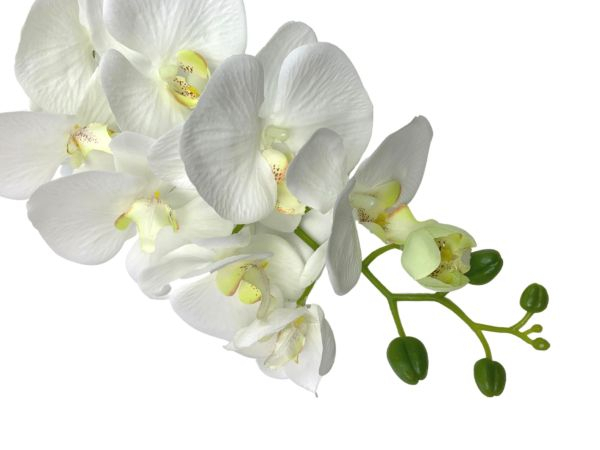 Storczyk kwiat pojedynczy 100 cm biały z zielonymi akcentami