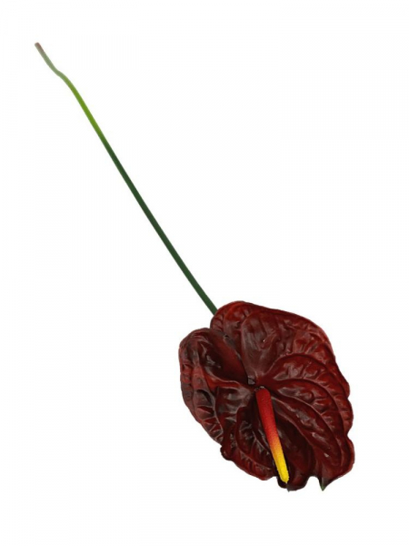 Anturium kwiat pojedynczy silikonowy 69 cm bordo