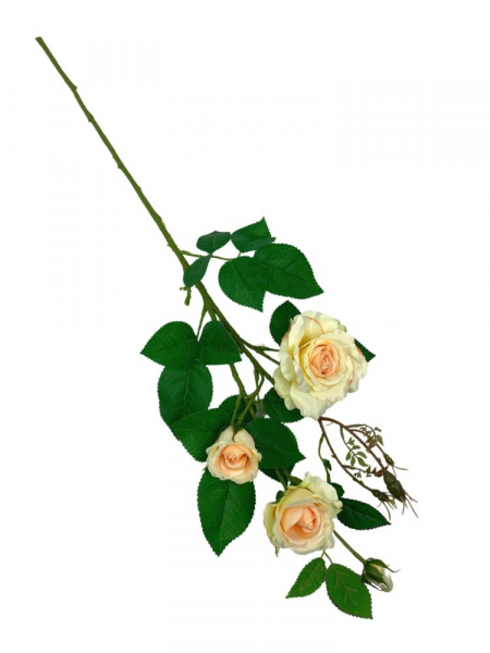 Róża gałązka 77 cm jasna brzoskwinia
