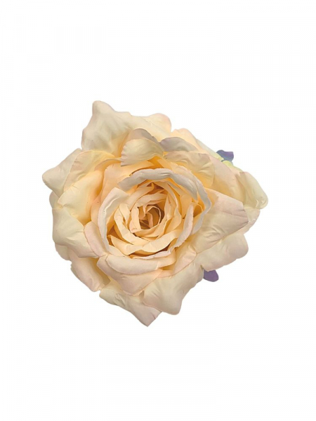 Róża główka 10 cm kremowa z bardzo delikatnym jasnym różem