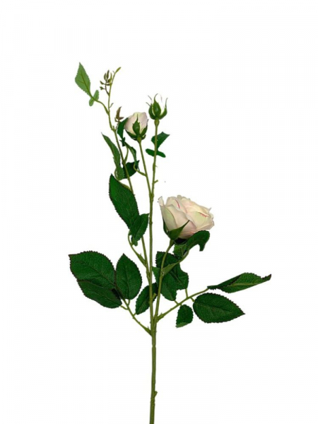 Róża gałązka 70 cm kremowo brzoskwiniowa