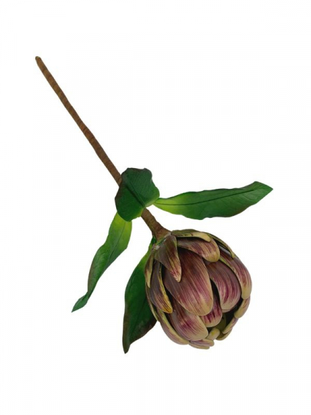 Protea kwiat pojedynczy 38 cm bordowa