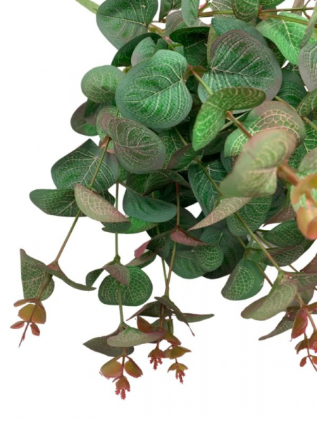 Eukaliptus bukiet 47 cm zielony z bordowym cieniowaniem