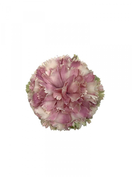 Goździk główka 12 cm brudny róż z zielenią