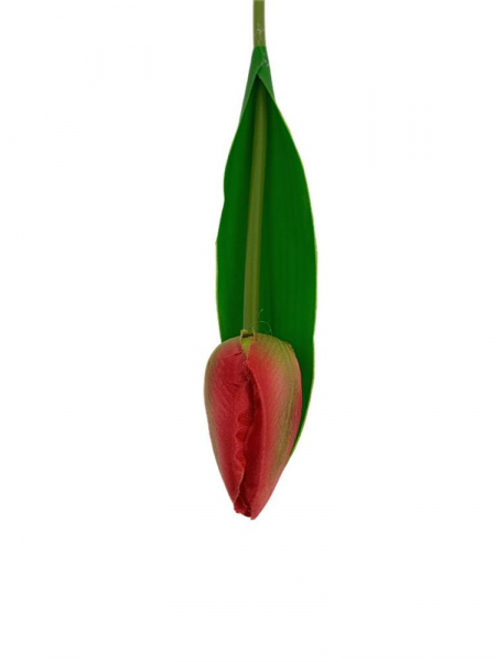 Tulipan gałązka 35 cm czerwony