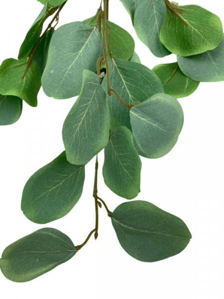 Eukaliptus populus gałązka 88 cm zielony mat