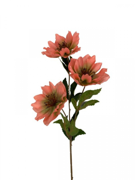 Ciemiernik gałązka 70 cm jasno różowy z zielenią