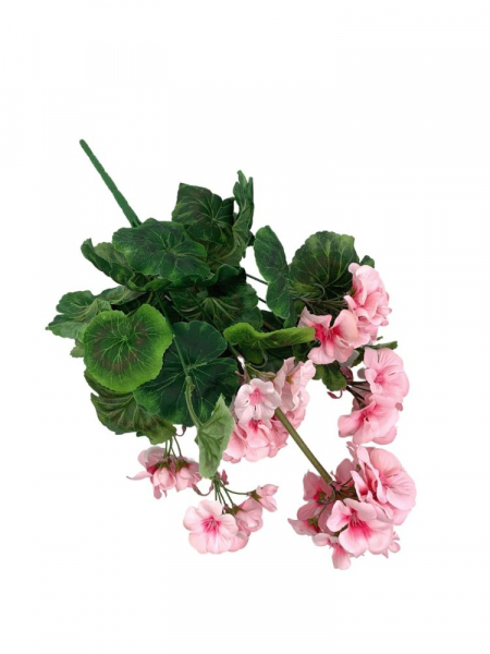 Pelargonia bukiet 45 cm jasny róż