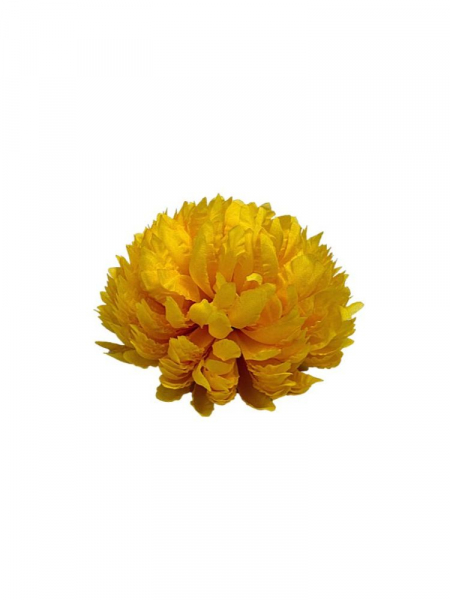 Chryzantema główka 14 cm słoneczny żółty