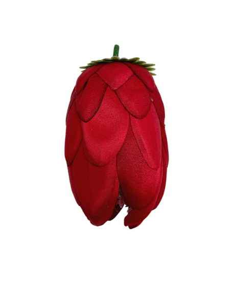 Protea główka wysokość 10 cm czerwona