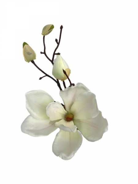 Magnolia gałązka 33 cm kremowa z jasno różowym środkiem