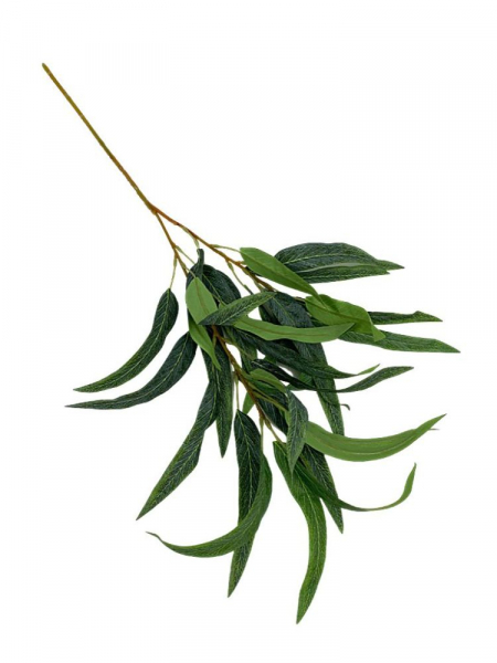 Liście oliwki gałązka 70 cm zielone omszone