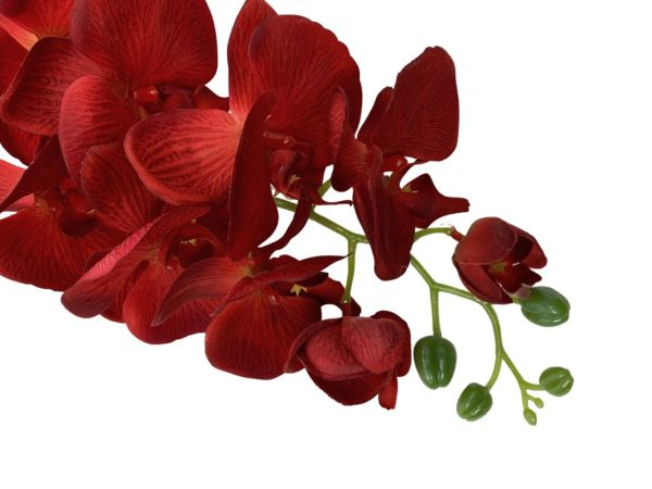 Storczyk kwiat pojedynczy 100 cm czerwony