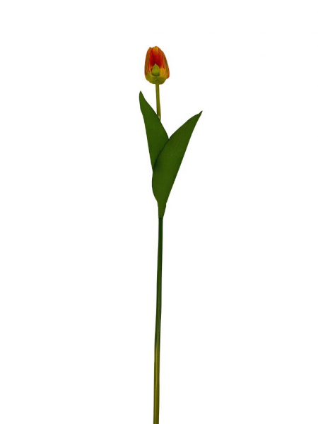 Tulipan gałązka 54 cm żółto czerwony