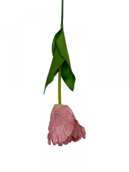 Tulipan gałązka 54 cm brudny róż