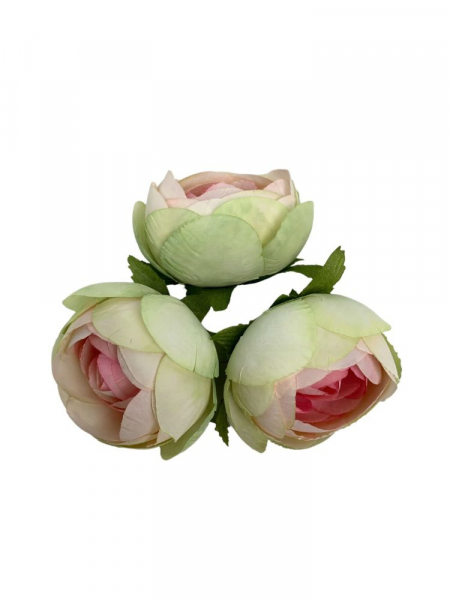 Pełnik główka 5 cm jasno zielony z jasnym różem