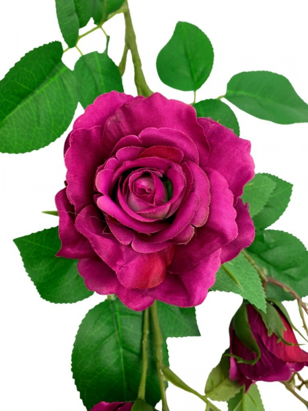 Róża gałązka 77 cm fuksjowa