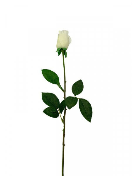 Róża kwiat pojedynczy 67 cm biała