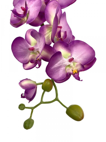 Storczyk kwiat pojedynczy 98 cm fioletowy