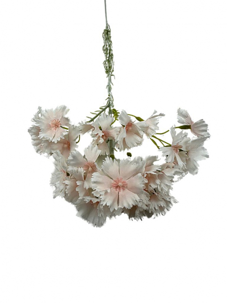 Goździk brodaty gałązka 65 cm biały i pudrowy róż