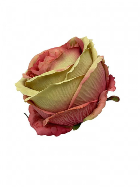 Róża główka 11 cm różowa z dodatkiem bardzo jasnej zieleni