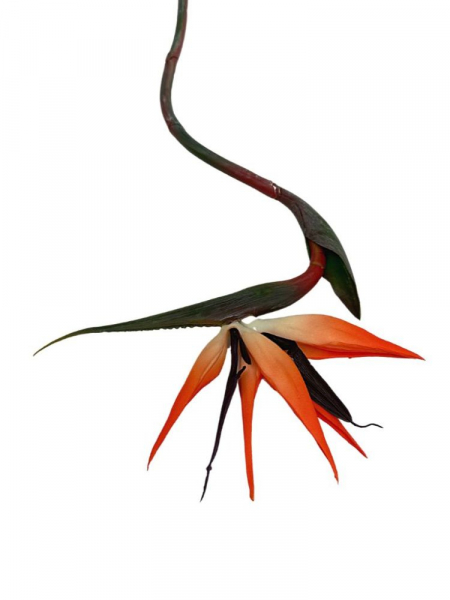 Strelicja XL Rajski ptak gumowa 86 cm pomarańczowa