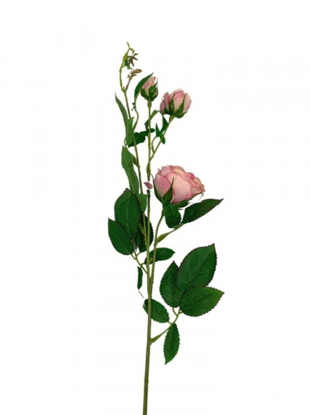 Róża gałązka 70 cm pudrowy róż