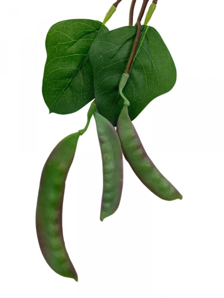 Groszek gałązka 80 cm zielony