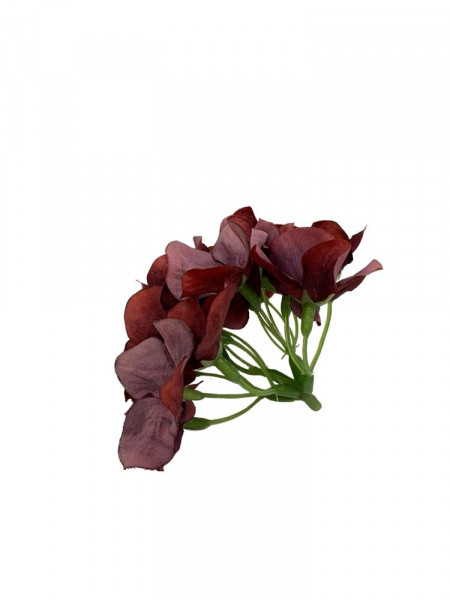 Hortensja główka 13 cm brudny ciemny róż